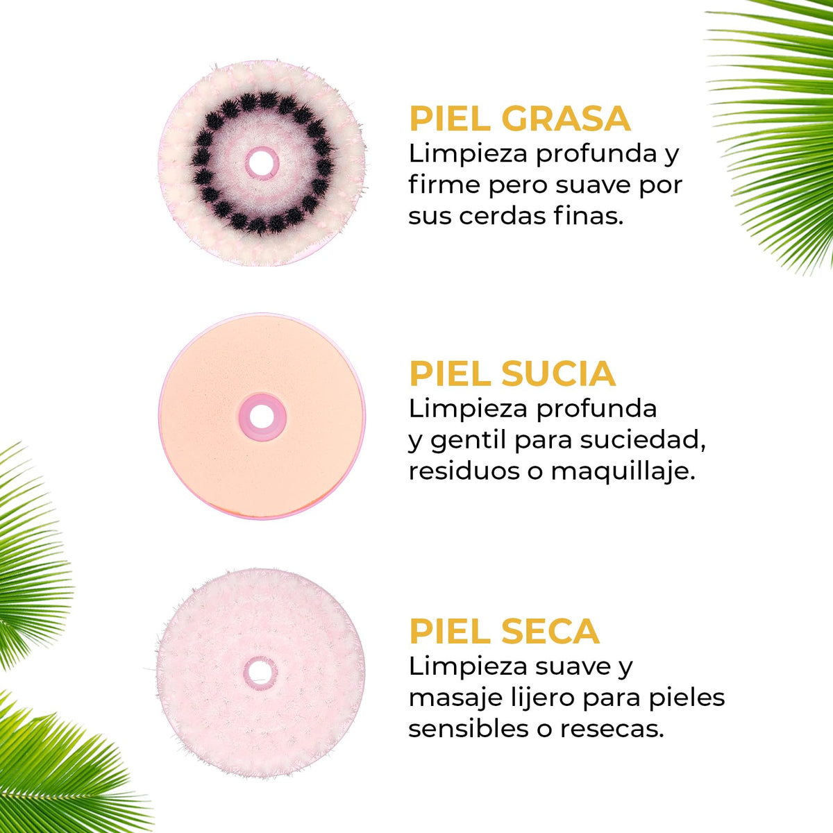 CLEOSKIN Limpieza Facial