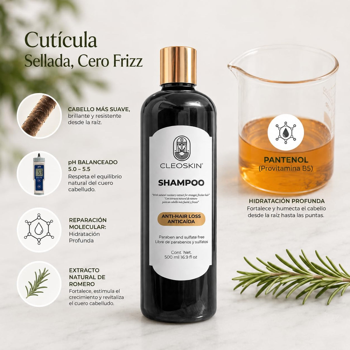 CLEOSKIN Shampoo de Romero para Crecimiento Capilar y Control de Grasa – Tratamiento con Pantenol y Infusión Natural para Fortalecer el Cabello y Aportar Brillo